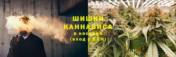 эйфоретик Магас